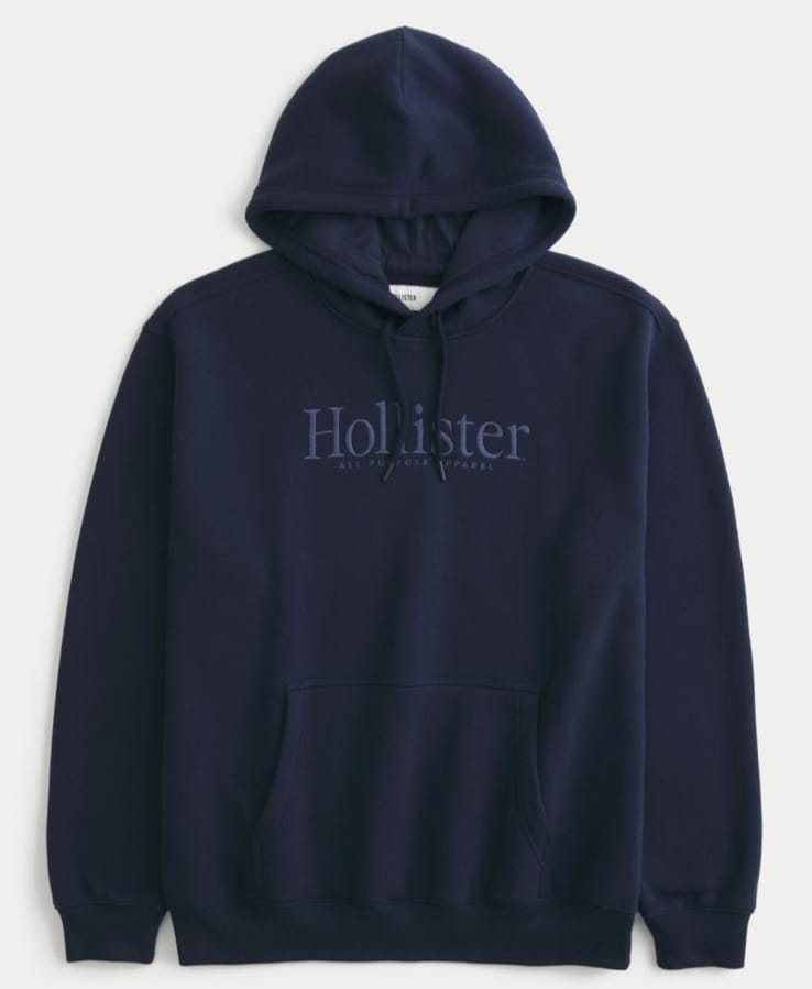 HOLLISTER RELAXED LOGO GRAPHIC HOODIE