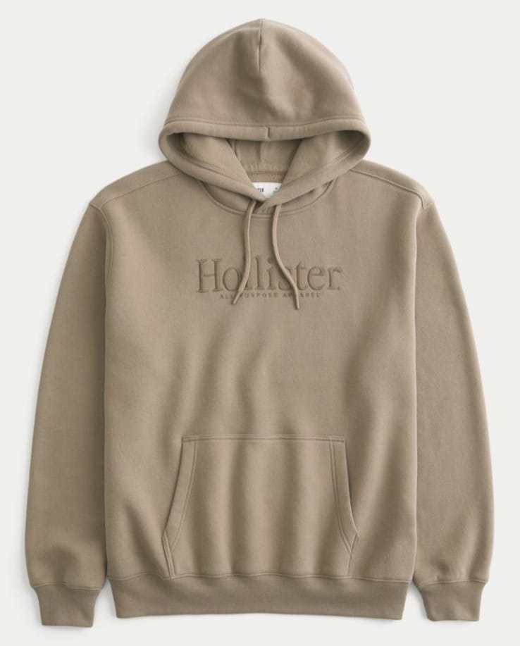 HOLLISTER RELAXED LOGO GRAPHIC HOODIE