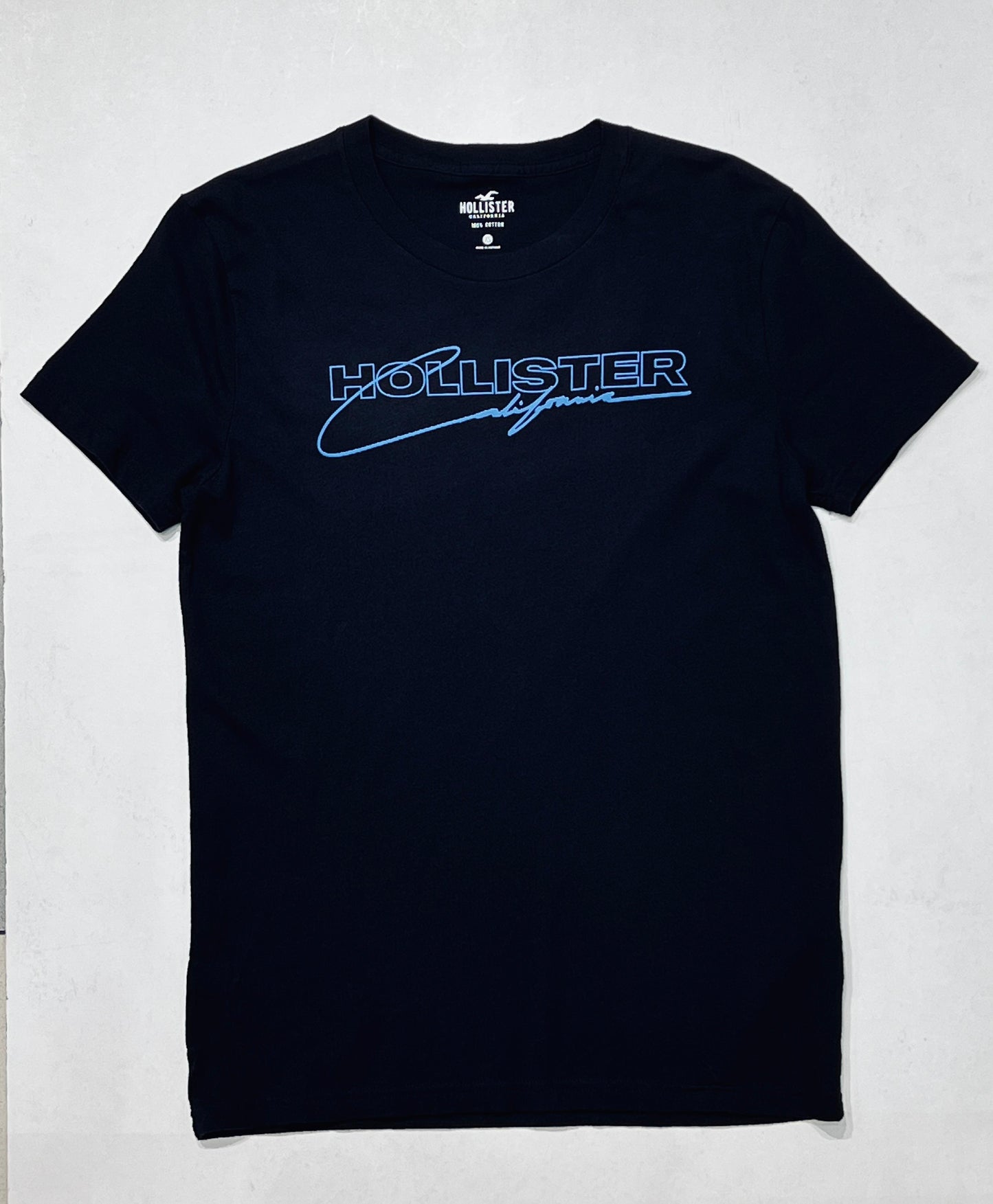 HOLLISTER LOGO PRINT TST