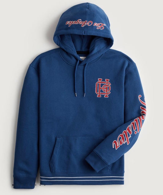 HOLLISTER PRINT LOGO GRAPHIC HOODIE