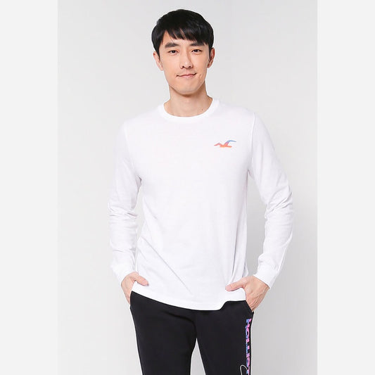 HOLLISTER T-SHIRT LOGO COLOR